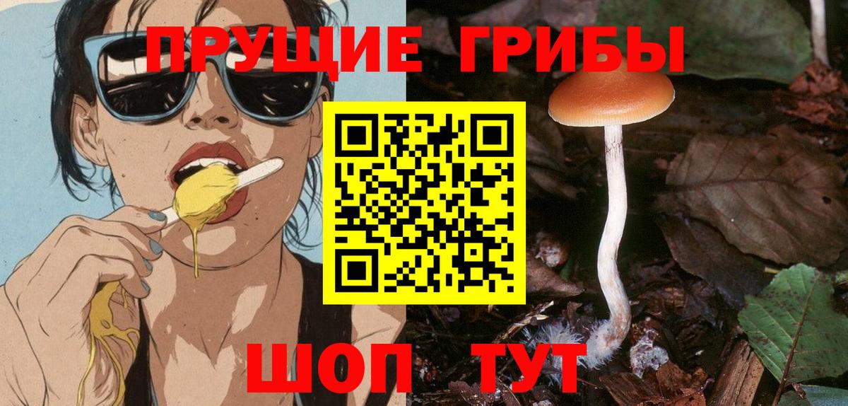 Галлюциногенные грибы Cubensis  Галлюциногенные грибы мухоморы  Вход с VPN  Глазов 