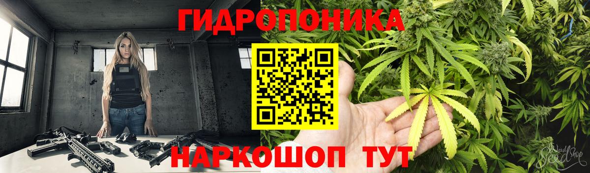 Конопля ГИДРОПОН Глазов